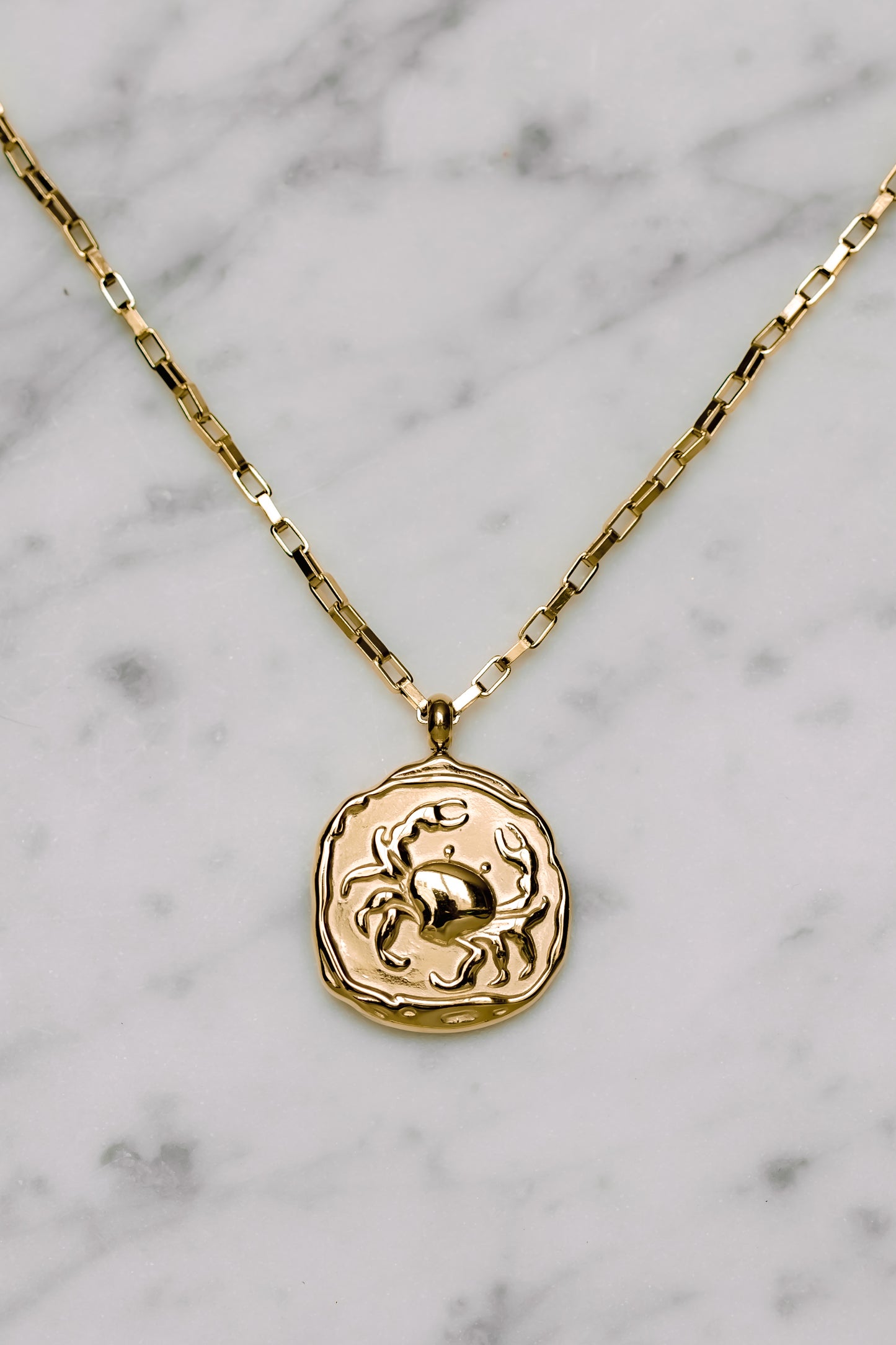Zodiac Coin Pendant Necklace