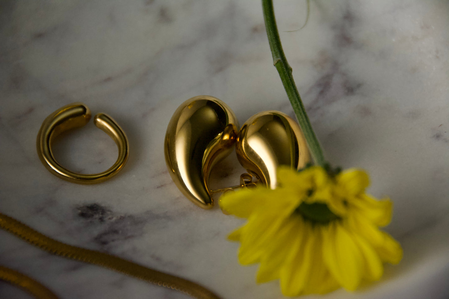 Drop Earring- 14k gold plated