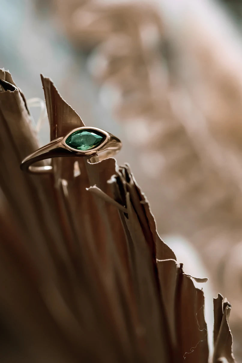 Anahata horse eye ring